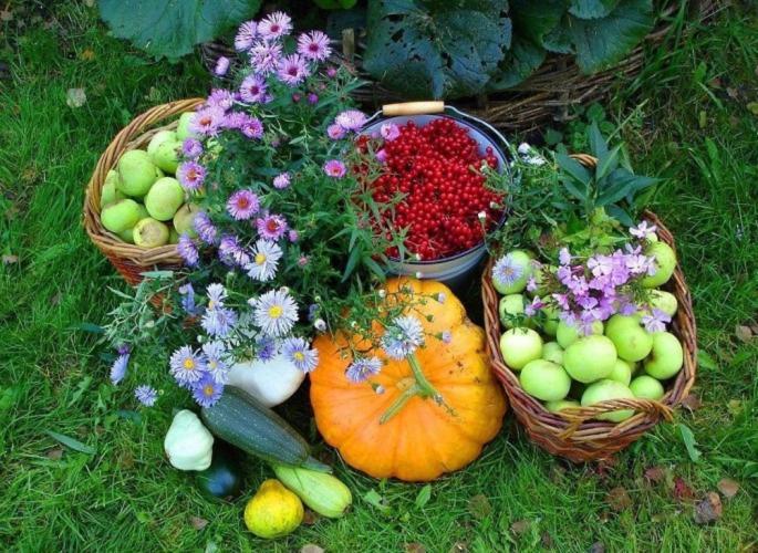 Agroturystyka Gawrys Drewniany Domek Villa Sasino Kültér fotó