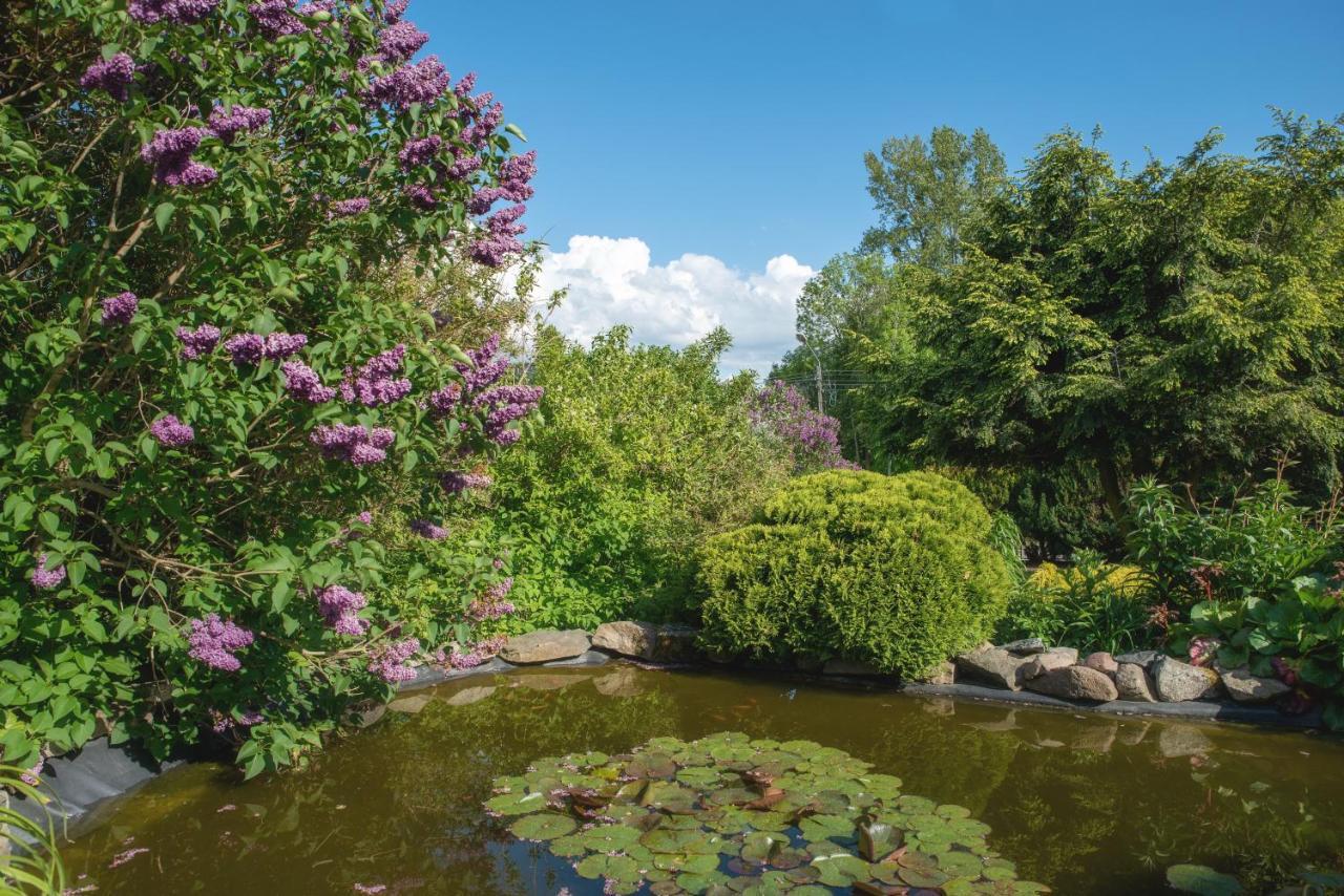 Agroturystyka Gawrys Drewniany Domek Villa Sasino Kültér fotó